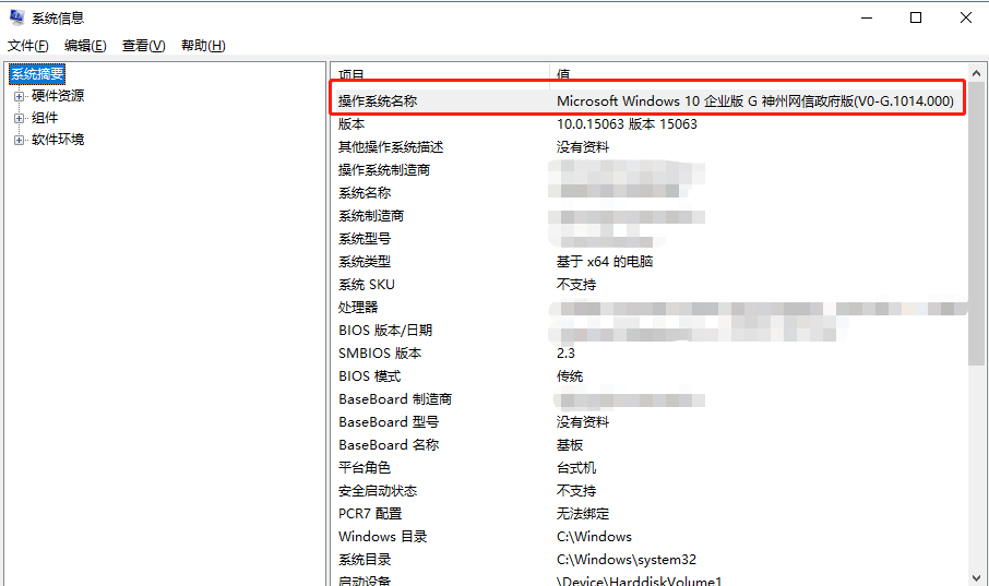 如何查看 Windows 10 神州网信政府版的版本信息